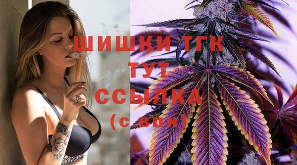 mdpv Волоколамск