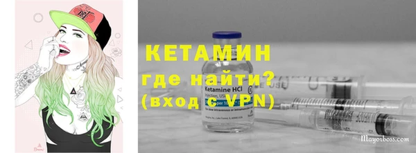 шишки Сосновый Бор