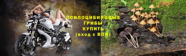 спайс Сосновка