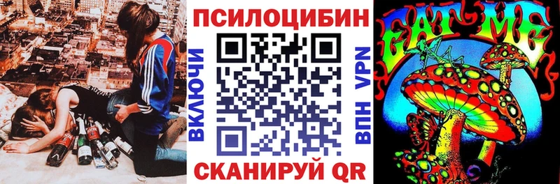 Галлюциногенные грибы Psilocybe  Среднеуральск 